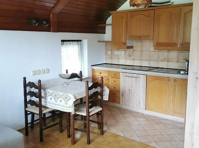 公寓 Apartma Marusa 布莱德